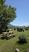 Photo Visite de la ferme du Domaine de la Beaumette_Aspres-sur-Buëch - Photo 12