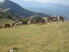 Photo Gîte d'étape et de séjour de la ferme de Villauret à Saint Auban d'Oze - Photo 2