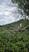 Photo Domaine de la Beaumette_Aspres-sur-Buëch - Photo 21