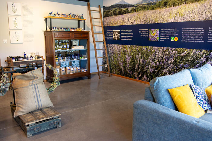 Lavanderaie des Hautes Baronnies - Photo 3