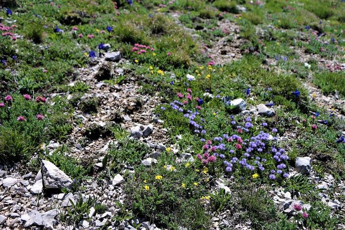 Les crêtes de Luzet - Photo 6