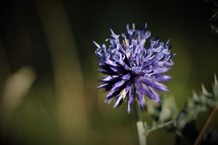 Boucle de Clausonne - Photo 9