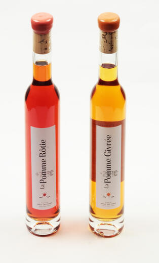 Apple des cimes à La Roche des Arnauds - Photo 2