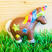 Photo Licorne Bio - Photo 3