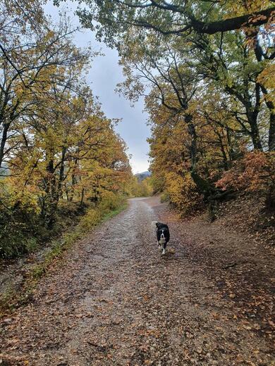 Balade au départ du Grand R - Photo 12