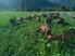 Photo La Ferme de Meyssirat - Photo 1