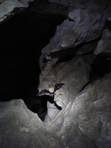 grotte Agnielles - Photo 0