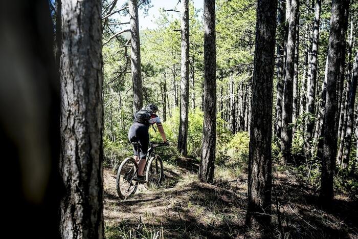 VTT - Forêt - Photo 0