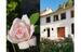 Photo Chez Rosa - Photo 0