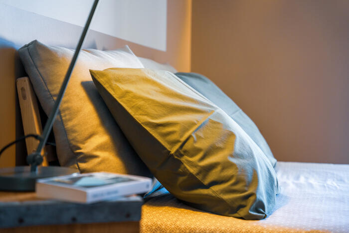 Gîte Tribu - Photo 3