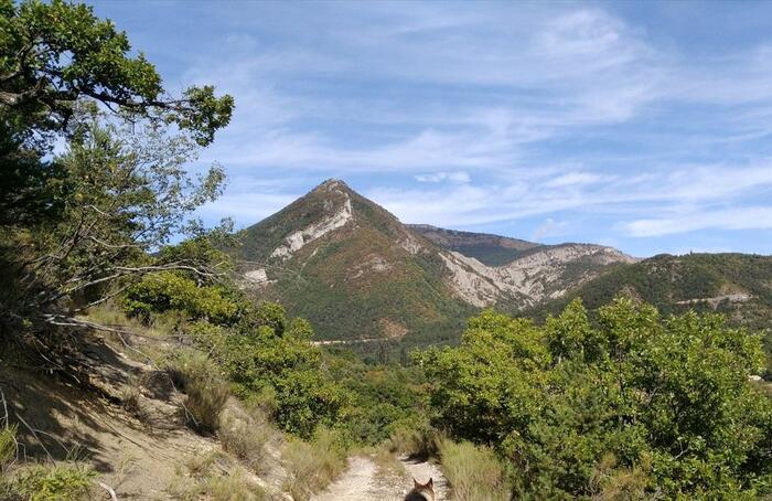 Source de la Bergère - Photo 2