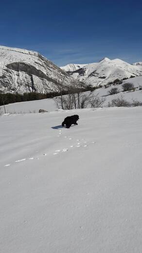 Au logis de la haute corréo - Photo 13