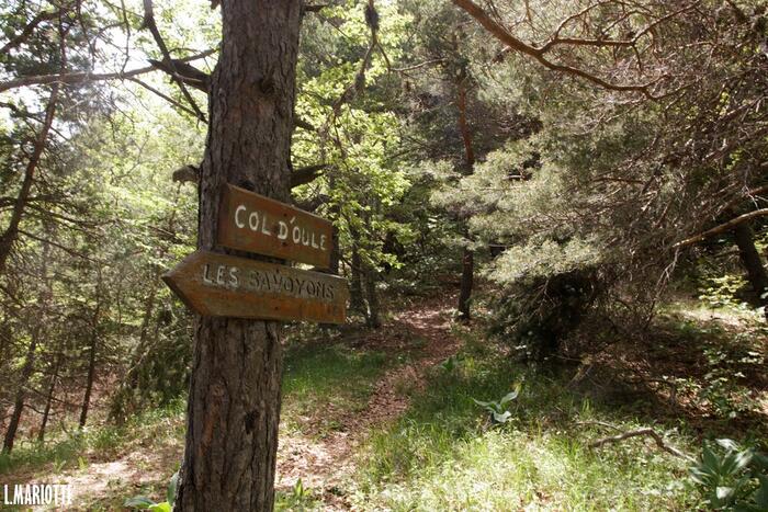 Montagne d'Oule - Photo 4