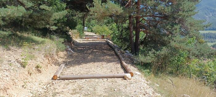 Terrain de pétanque - Photo 8