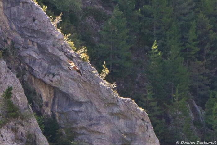 Rando la Beaume - Photo 9