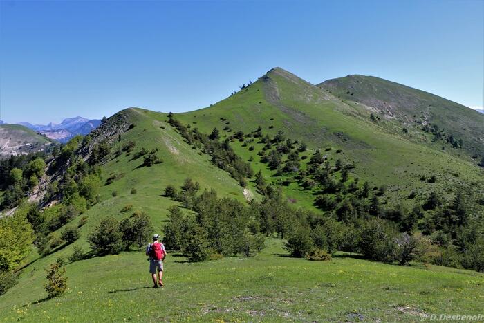 Les crêtes de Luzet - Photo 3