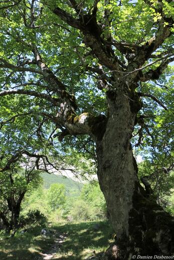 Le sentier des bancs - Photo 5