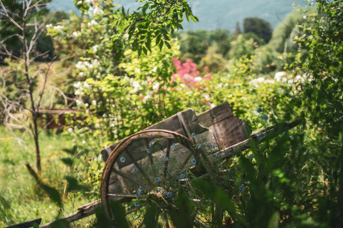 Gîte Tribu - Photo 2