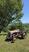 Photo Domaine de la Beaumette_Aspres-sur-Buëch - Photo 15