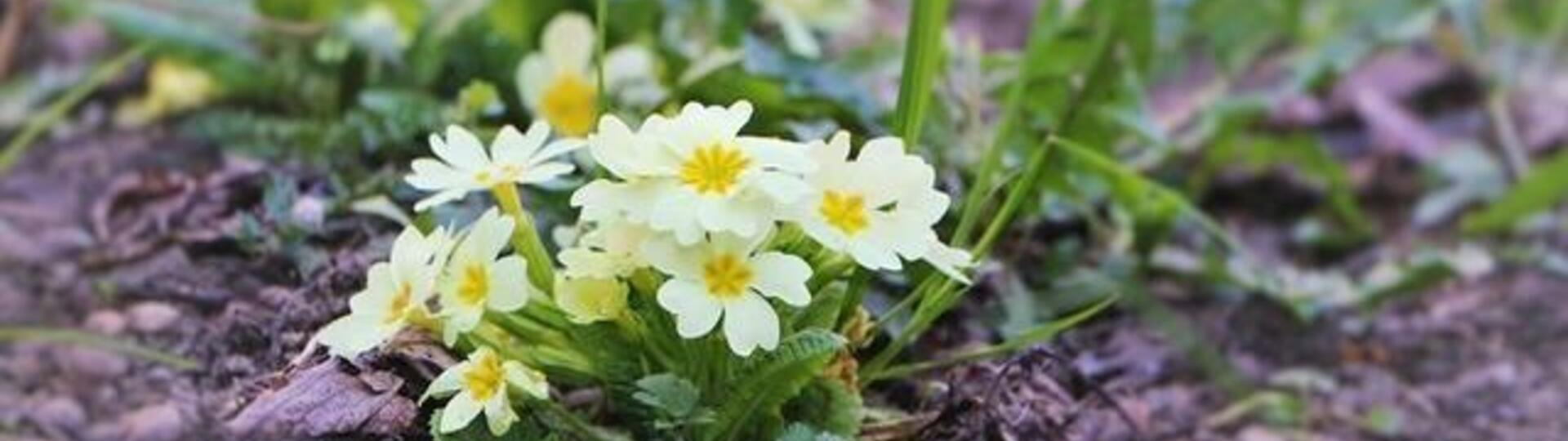 Réédition - Commerçants et Producteurs ouverts