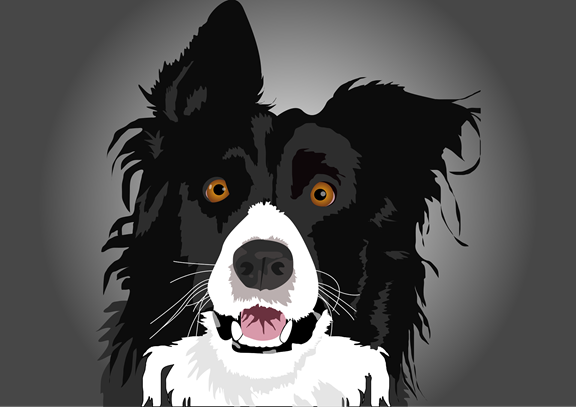 Cartographie des chiens de protection