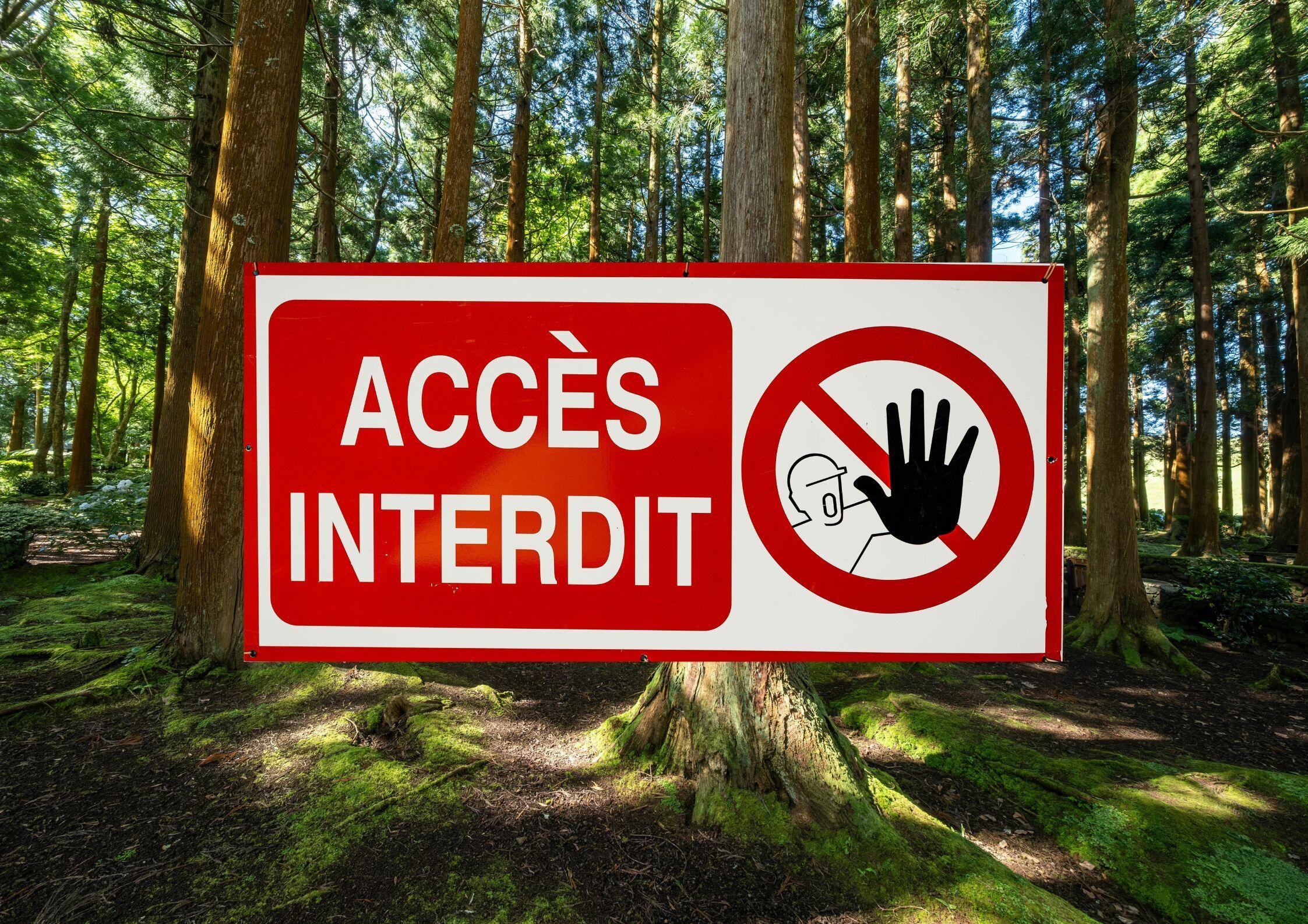 Forêt Domaniale de Durbon - Interdiction d'accès sur certains sentiers