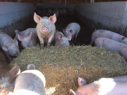 Rencontres à la ferme